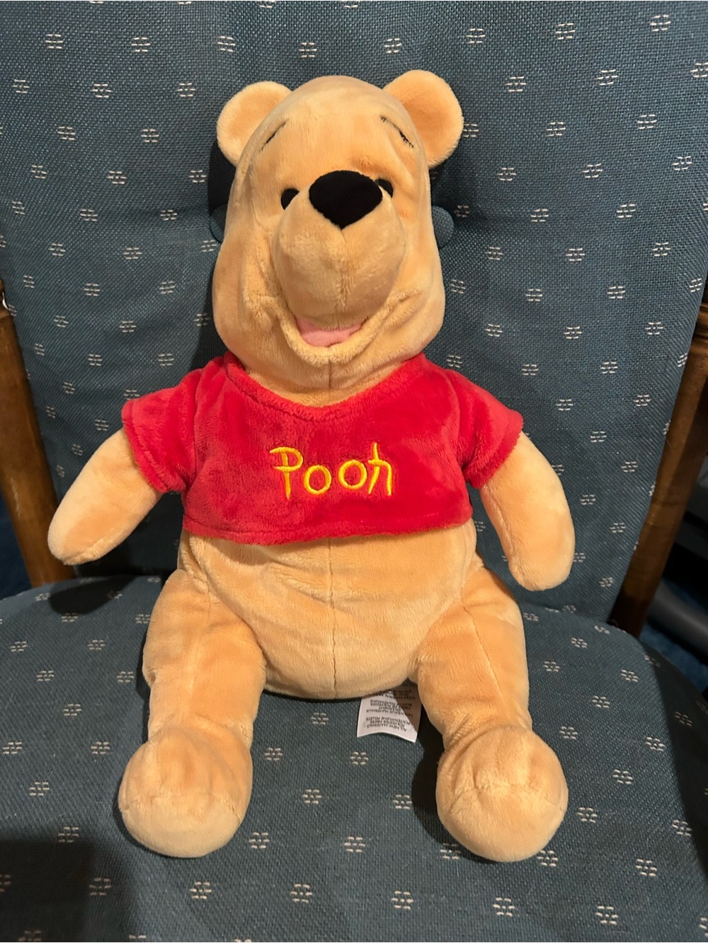 Disney Winnie the Pooh Plush - Red Shirt